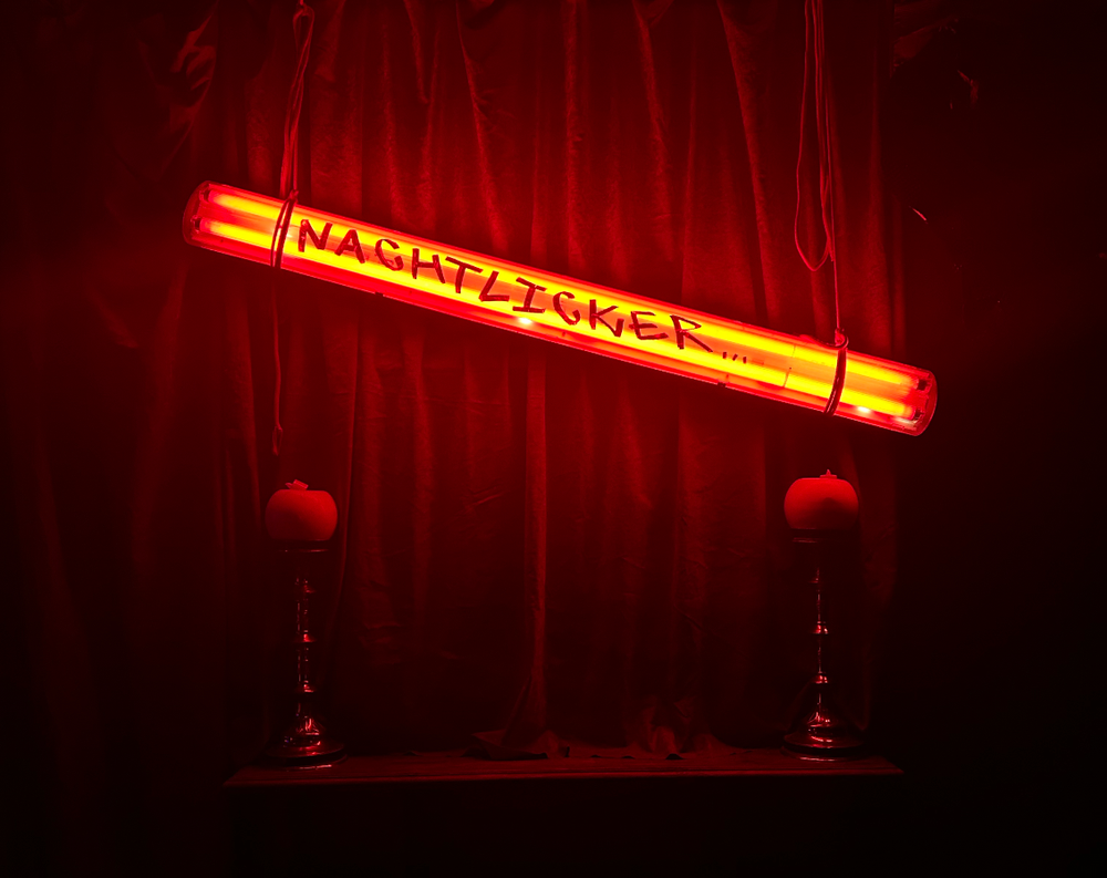 Flyer for Nachtlicker VIII