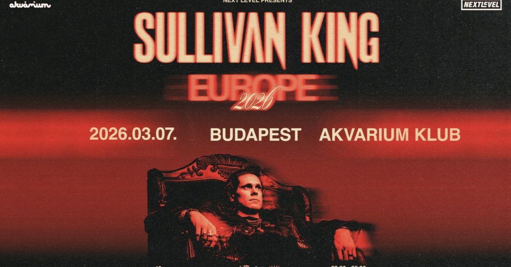 Flyer for Next Level pres.: SULLIVAN KING Live (USA)