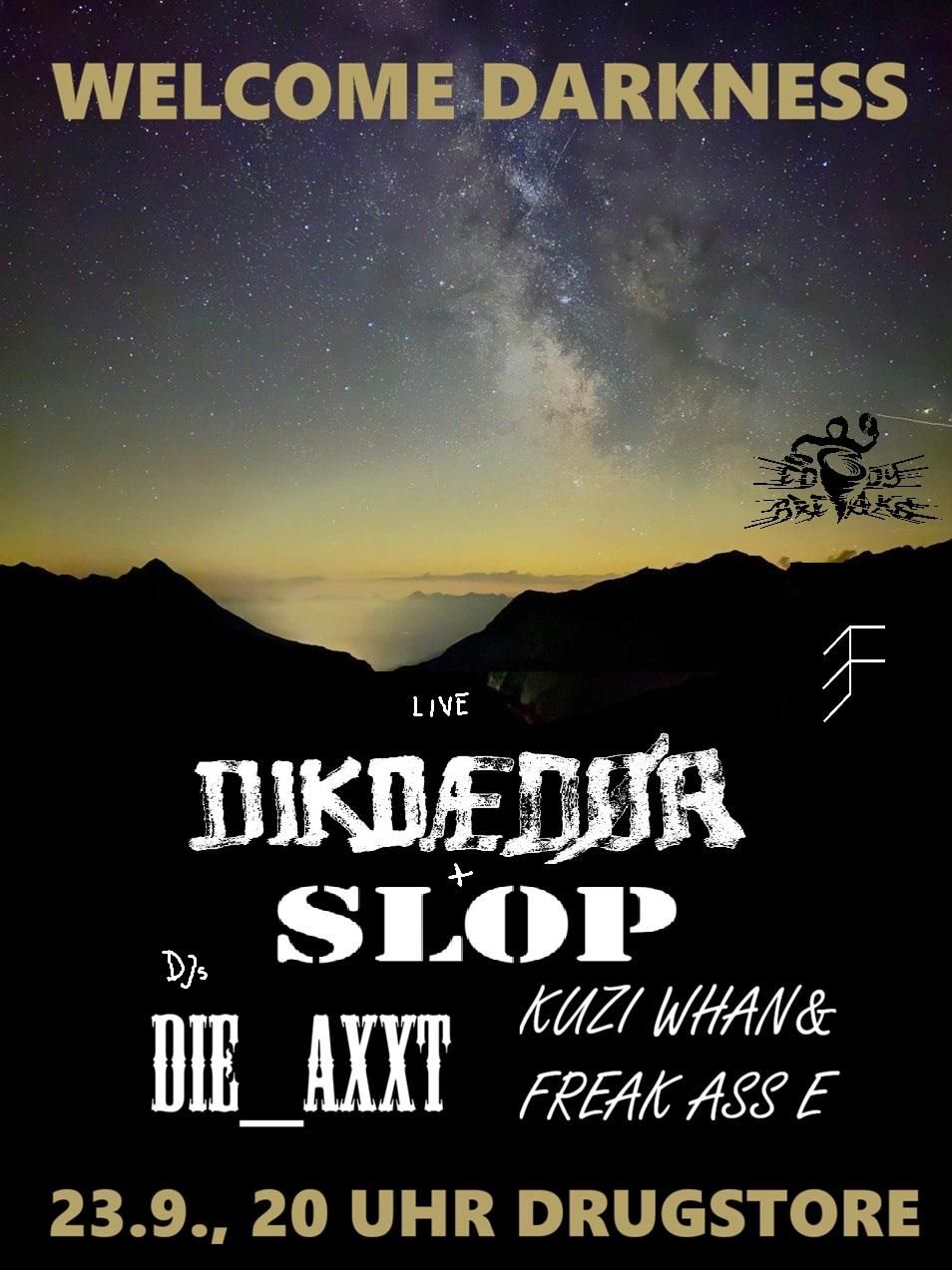 Flyer for W E L C O M E D A R K N E S S