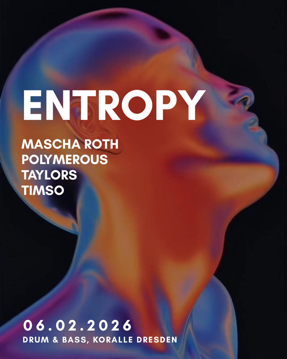 Flyer for Entropy
