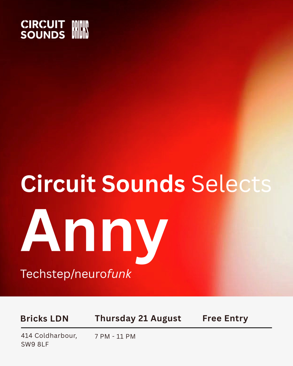 Flyer for Circuit Sounds Selects: Anny